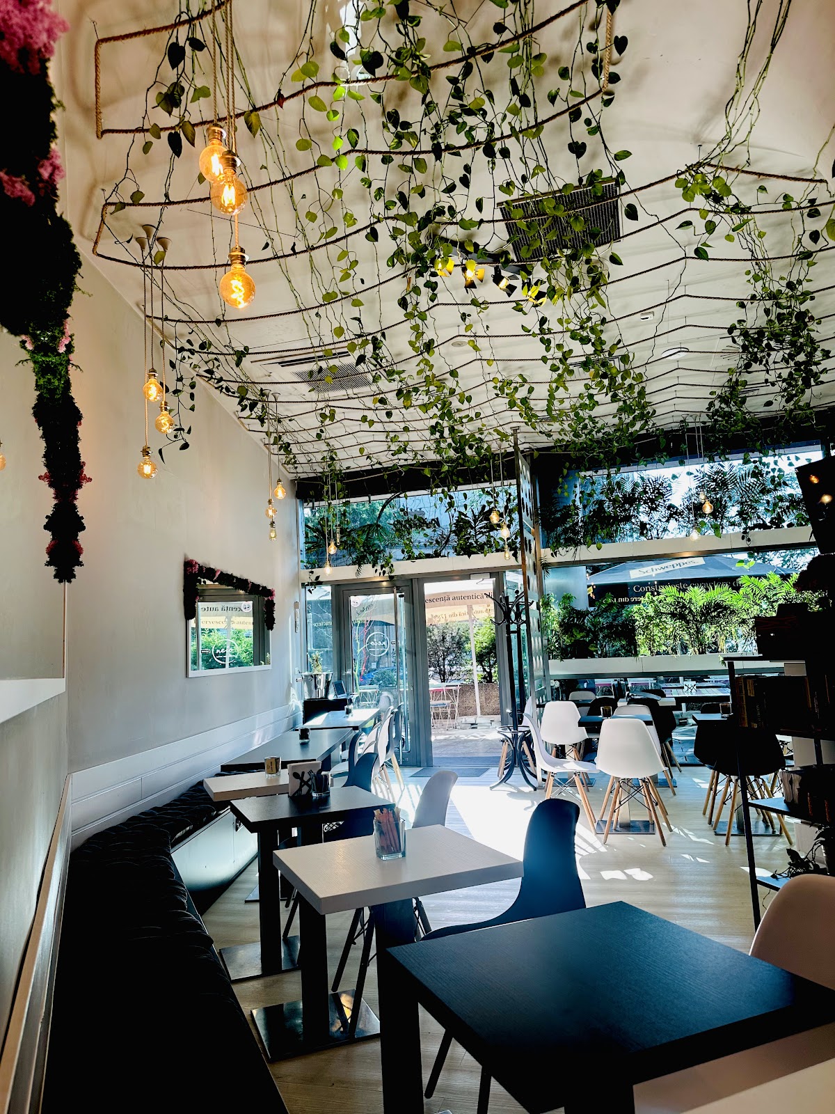 neio Caffeine Bites Comforts